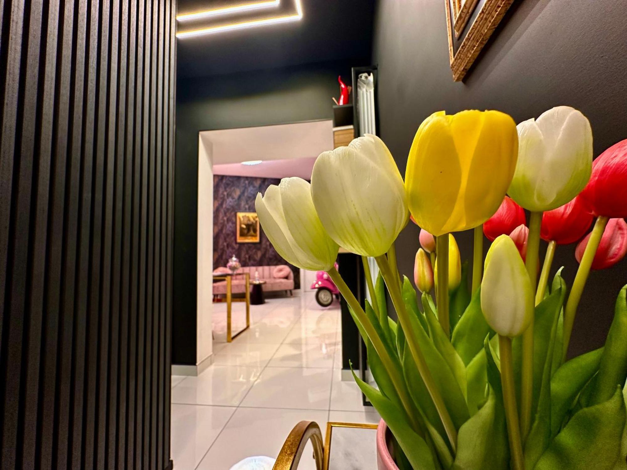 Elegance Rooms Spaccanapoli 外观 照片
